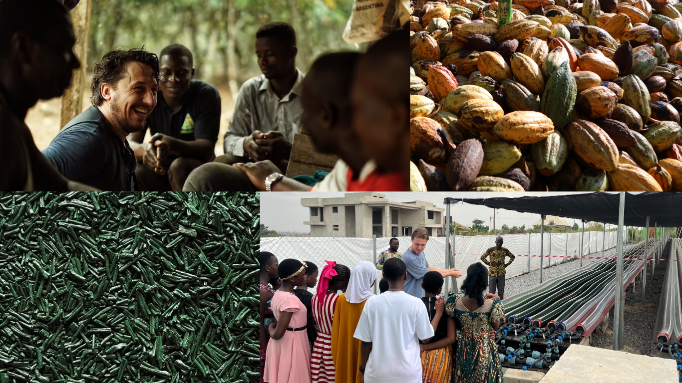 Ontwerp zonder titel (1)